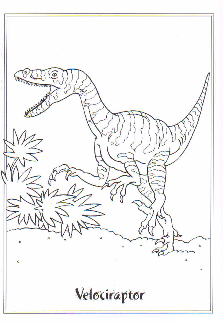 Plansa de colorat cu Dinozauri 131 37